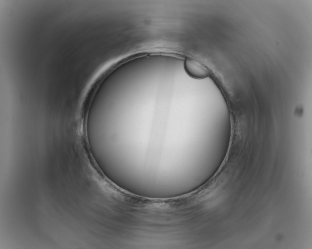 X0000097901462200803211430