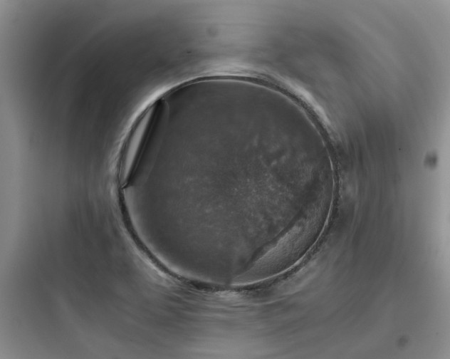 X0000097901463200803211430