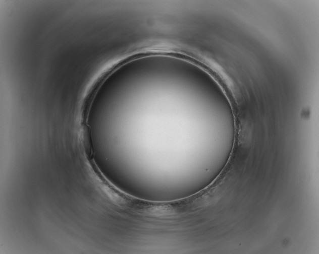 X0000097901464200803211430