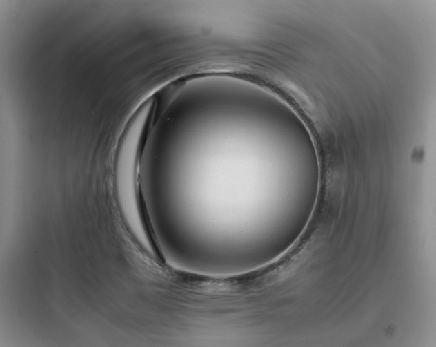 X0000097901465200803211430