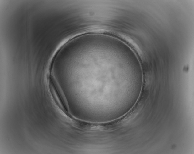 X0000097901467200803211430