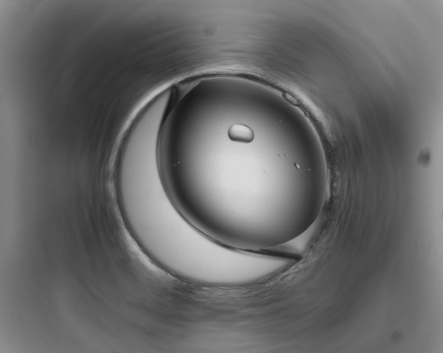 X0000097901468200803211430