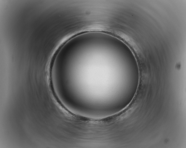X0000097901469200803211430