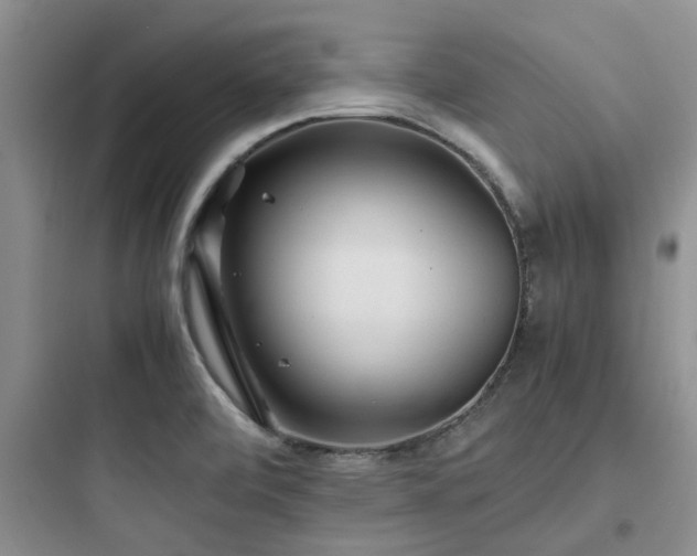 X0000097901472200803211430