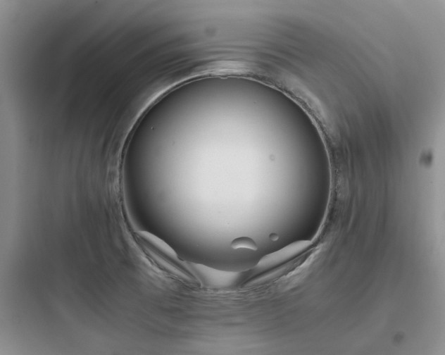 X0000097901473200803211430