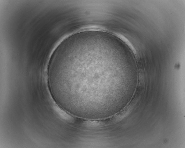 X0000097901474200803211430