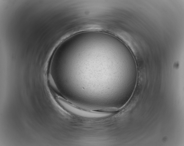X0000097901475200803211430
