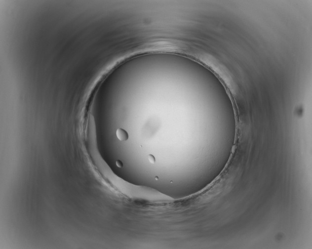 X0000097901477200803211430