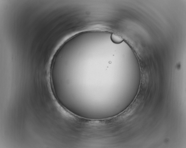 X0000097901478200803211430