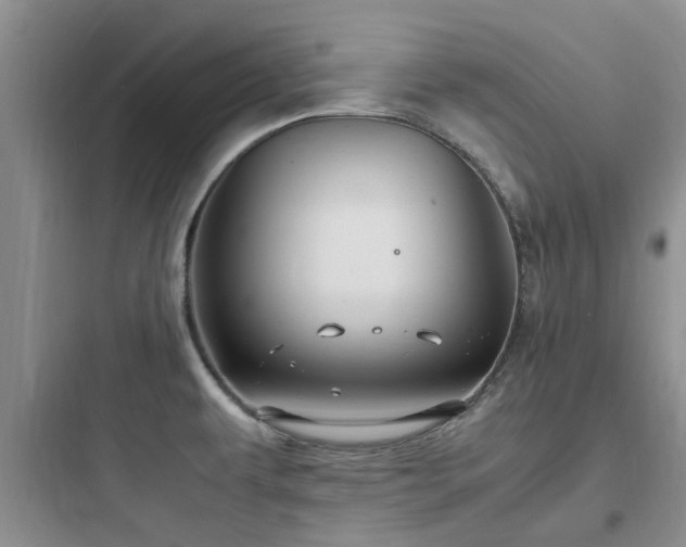 X0000097901479200803211430