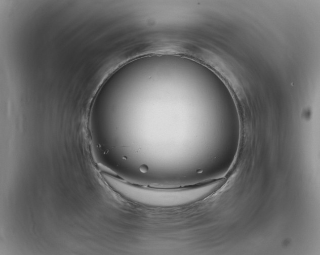 X0000097901481200803211430