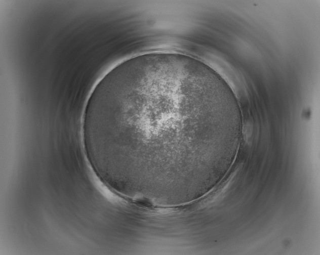 X0000097901482200803211430
