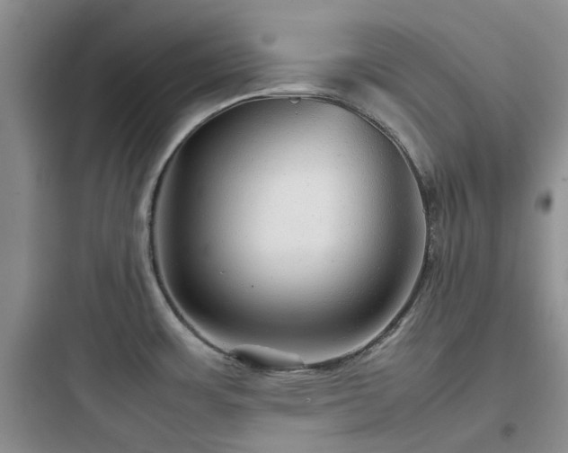X0000097901483200803211430