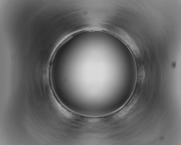 X0000097901484200803211430