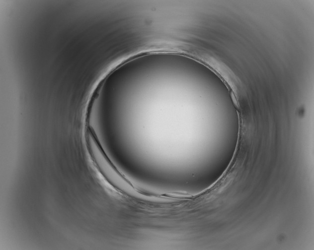 X0000097901485200803211430
