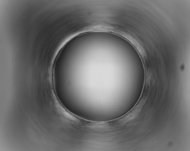 X0000097901486200803211430