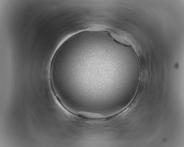 X0000097901487200803211430