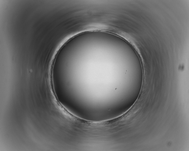 X0000097901488200803211430