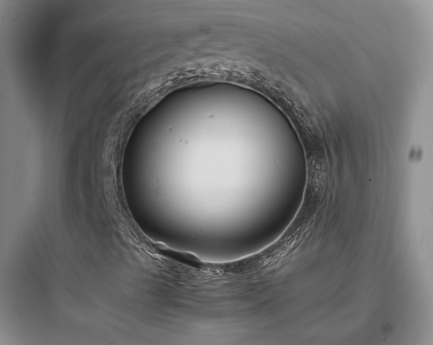 X0000097901489200803211429