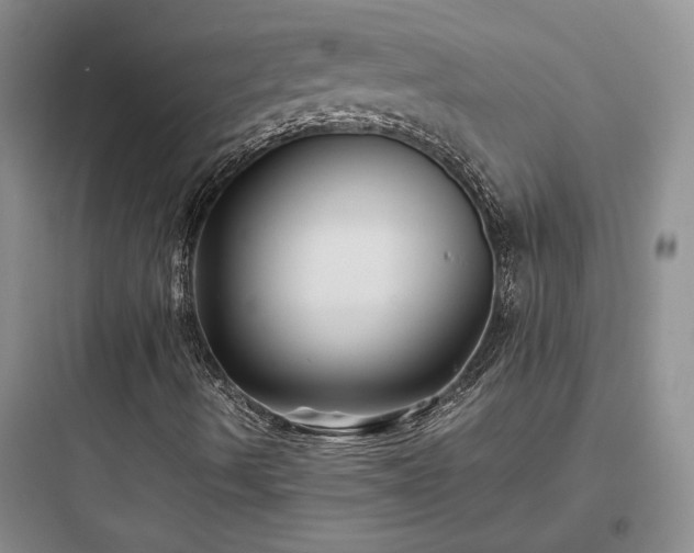 X0000097901490200803211429