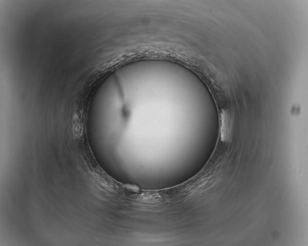 X0000097901491200803211429