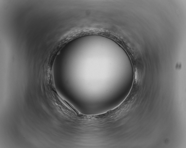X0000097901492200803211429
