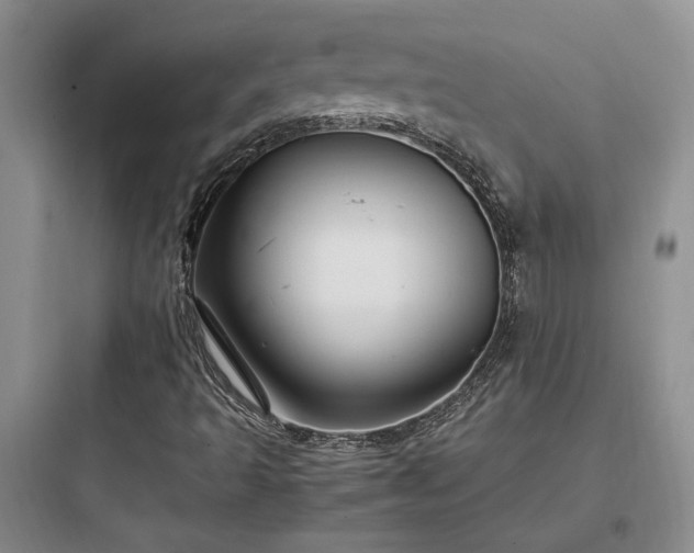 X0000097901493200803211429