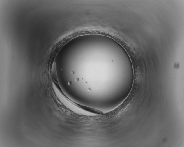 X0000097901494200803211429