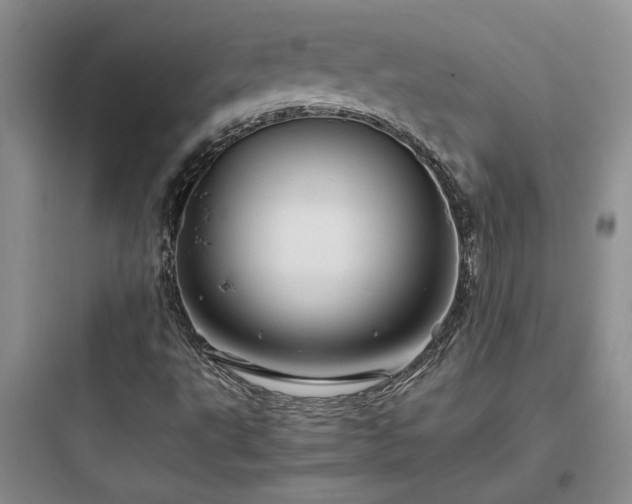 X0000097901495200803211429