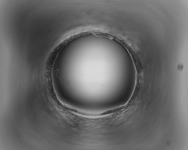 X0000097901496200803211429