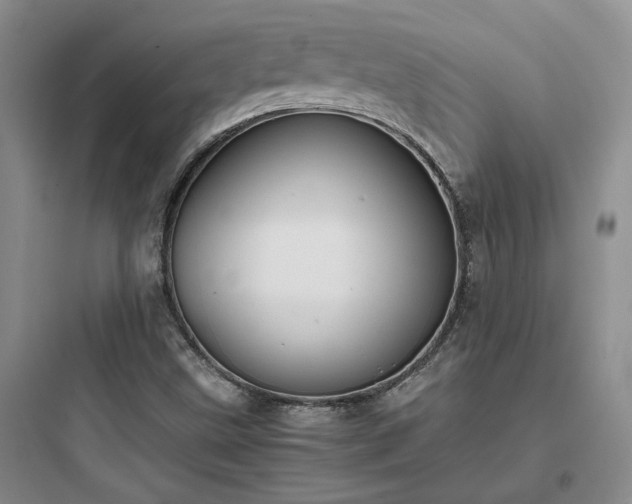X0000097901499200803211429