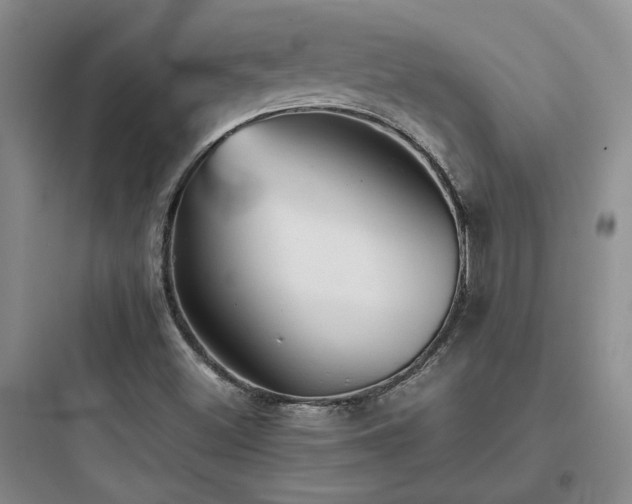 X0000097901500200803211429