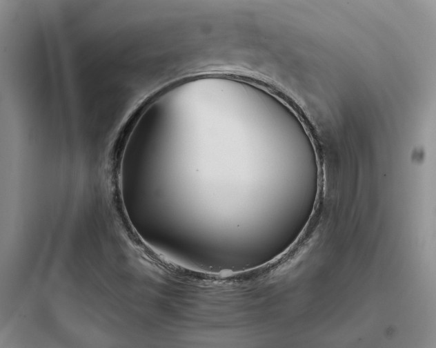 X0000097901501200803211429