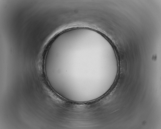 X0000097901502200803211429
