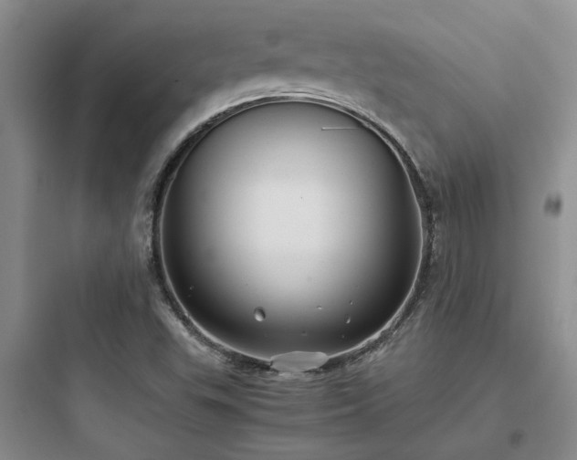 X0000097901503200803211429