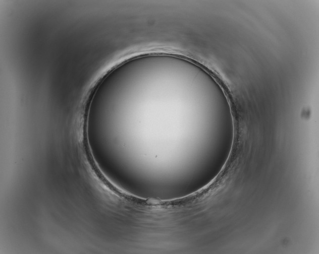 X0000097901504200803211429