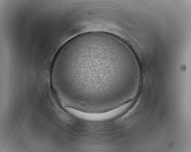 X0000097901505200803211429