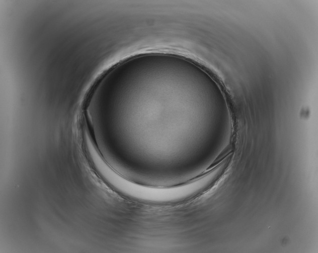 X0000097901506200803211429