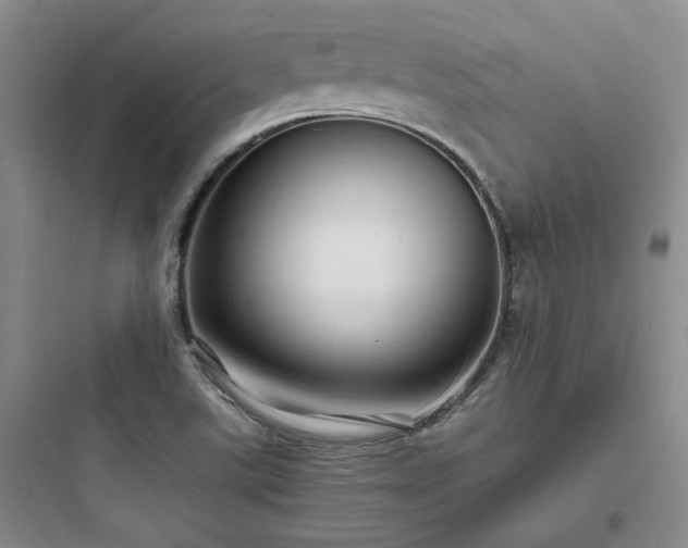 X0000097901507200803211429