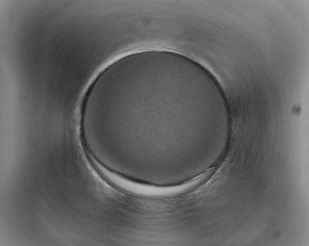 X0000097901508200803211429
