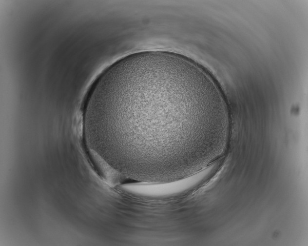 X0000097901509200803211429