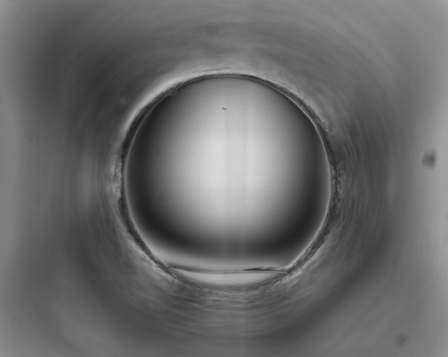 X0000097901510200803211429