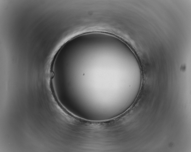 X0000097901512200803211429