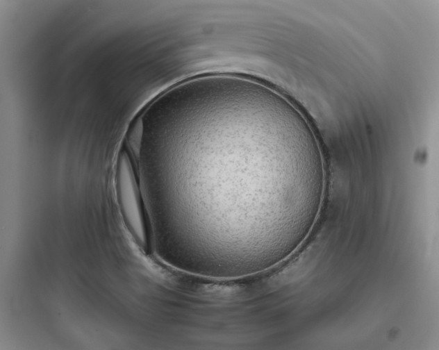 X0000097901513200803211429