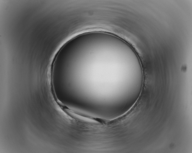 X0000097901516200803211430