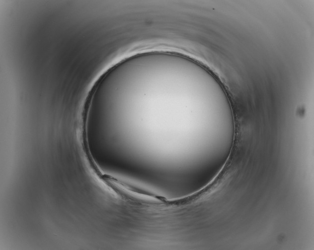 X0000097901518200803211430