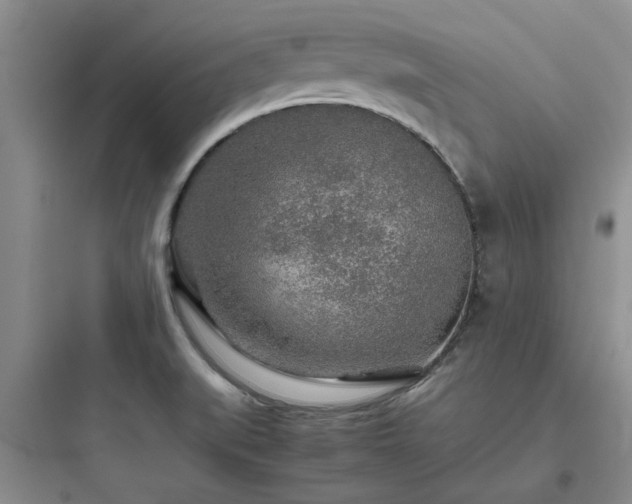 X0000097901519200803211430