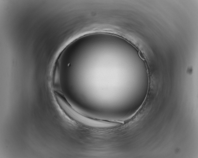 X0000097901520200803211430
