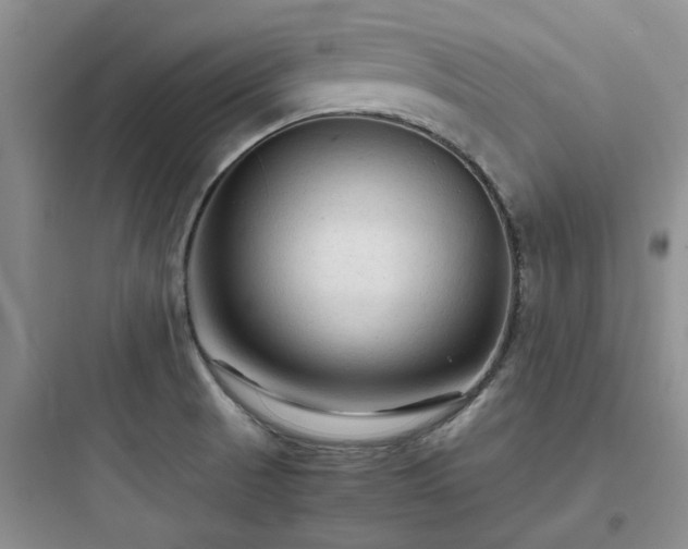 X0000097901521200803211430