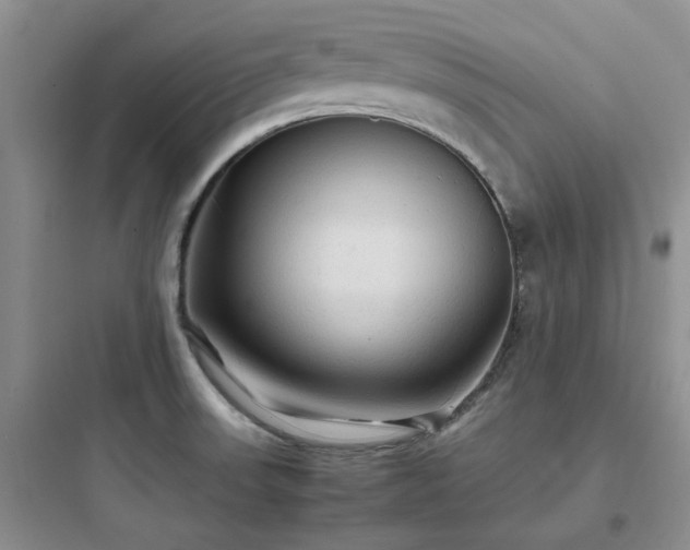 X0000097901523200803211430